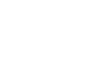 logo-ansi